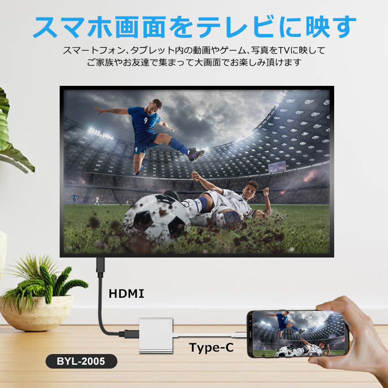 3in1 USB Type-C ハブ 4K HDMI USB 3.0 PD充電100W BYL-2005